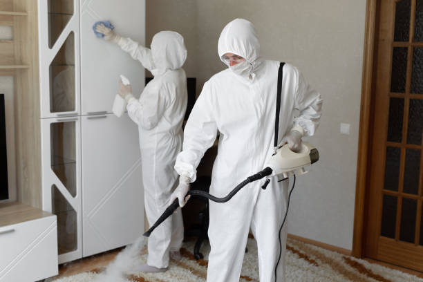 Best Mold Damage Repair  in Mechanicsville, MD