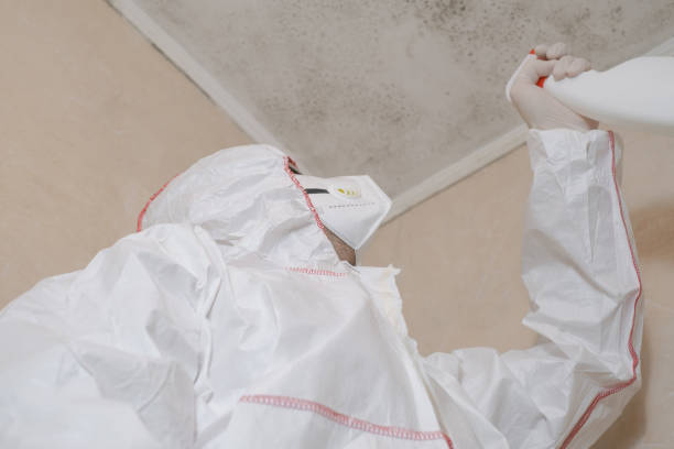 Best Professional Mold Removal  in Mechanicsville, MD
