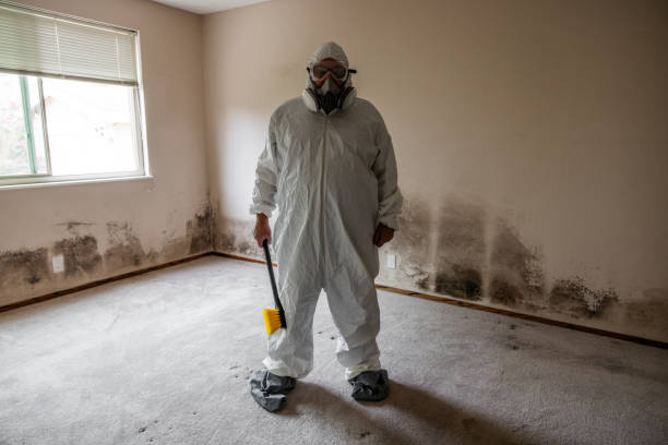 Best Certified Mold Removal  in Mechanicsville, MD